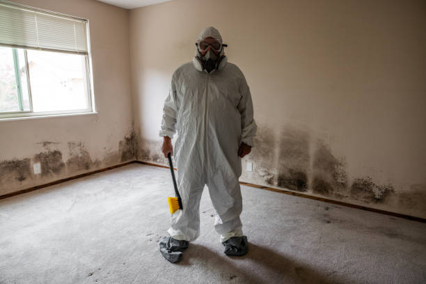 Best Best Mold Removal Companies  in Monahans, TX
